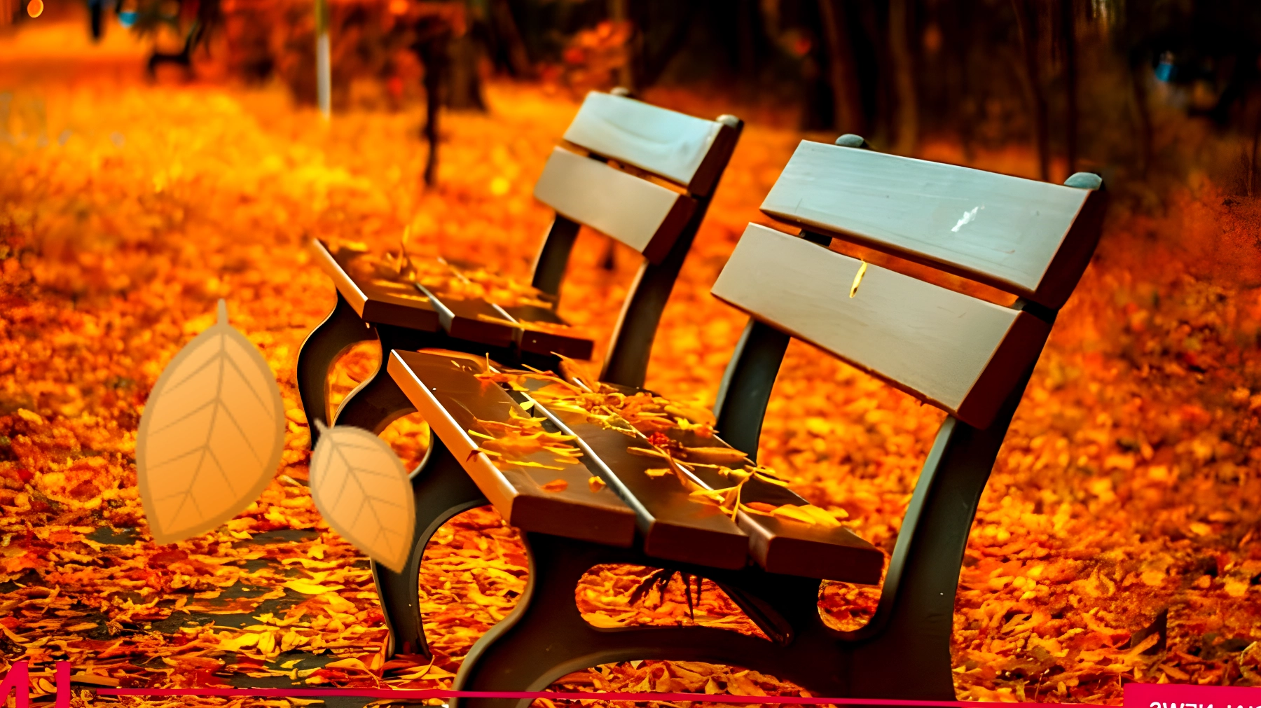 Le 10 frasi che ti faranno sentire il buongiorno all'autunno come mai prima d'ora