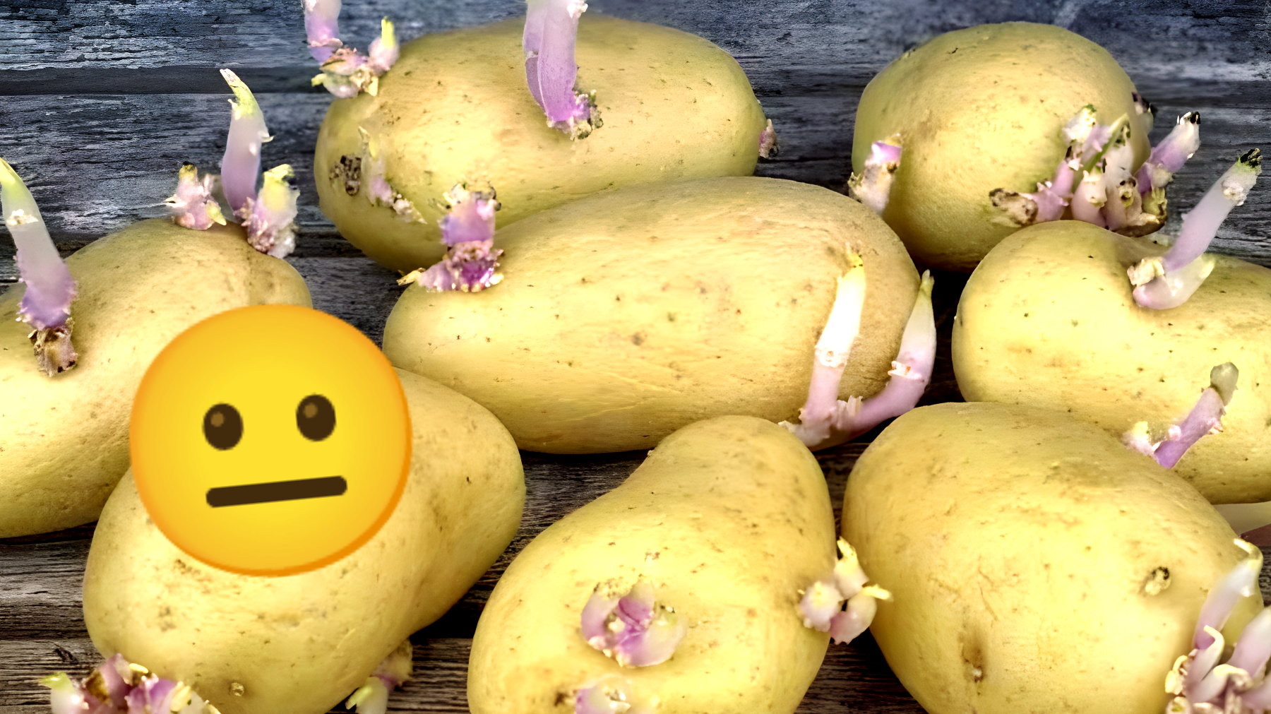 La verità sulle patate germogliate: possono essere mangiate o sono pericolose?