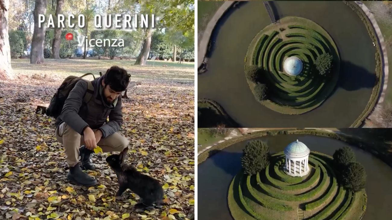 parco veneto conigli