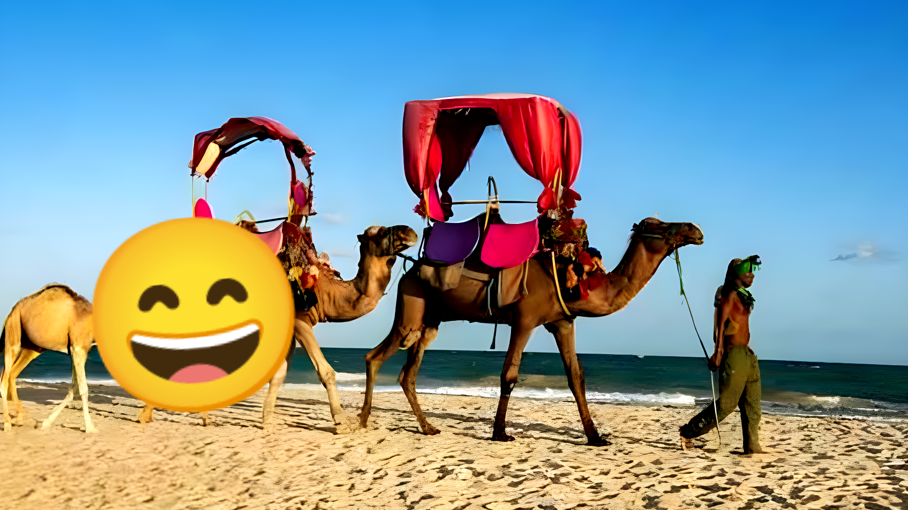 Scopri tutto sul tour completo a Djerba nel 2024: un'esperienza incredibile ti aspetta!