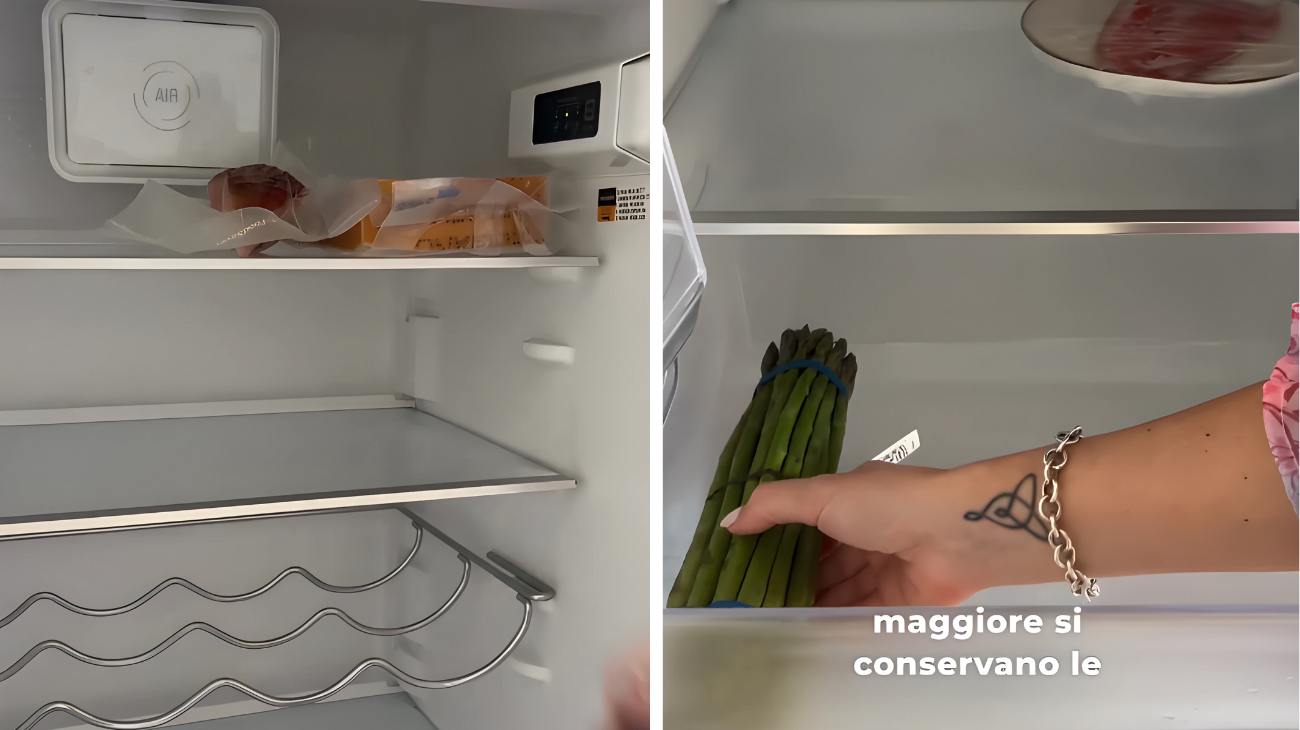 come conservare alimenti frigorifero