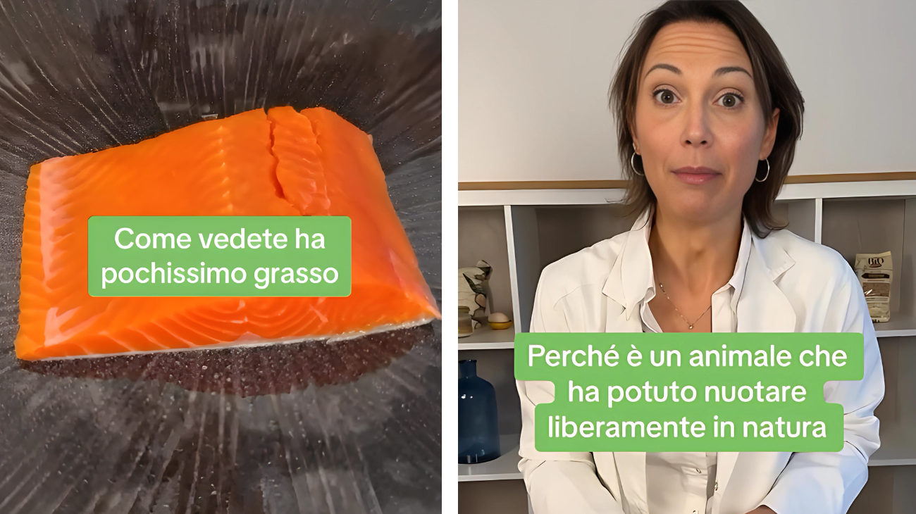 riconoscere salmone buono cosa vedere