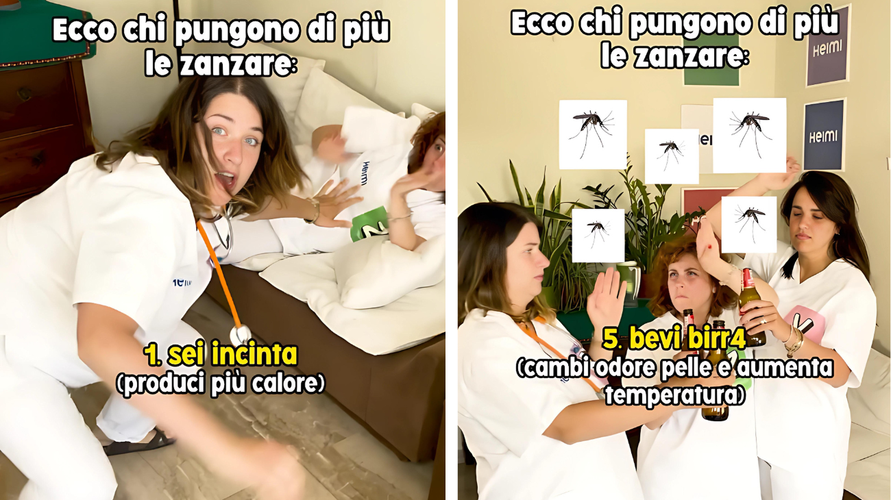 chi pungono le zanzare
